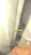 siel_pinto Altpins Profile Picture
