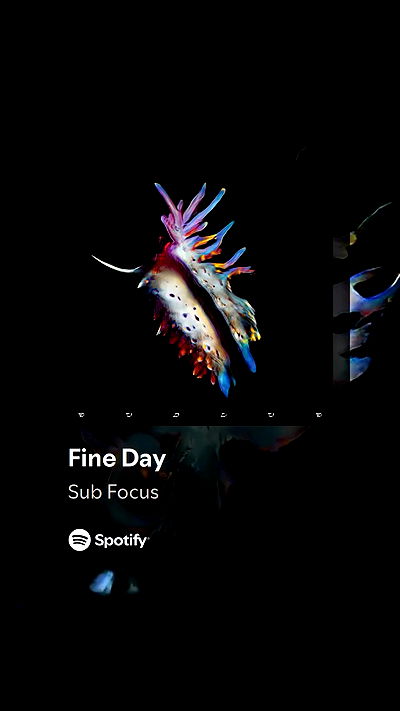 lila.garnik lila.garnik archive video