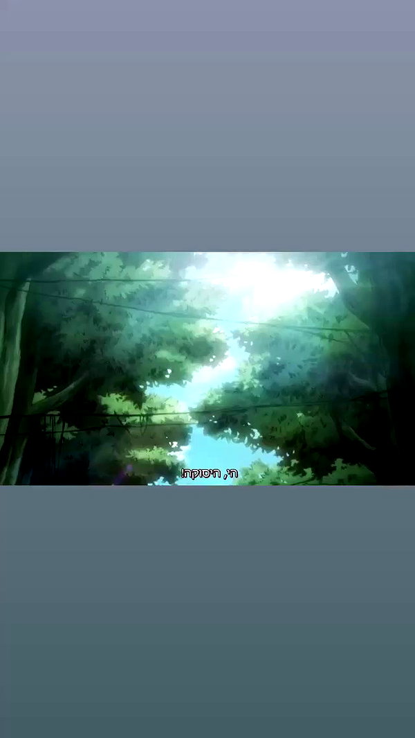 biton__adi archive video preview