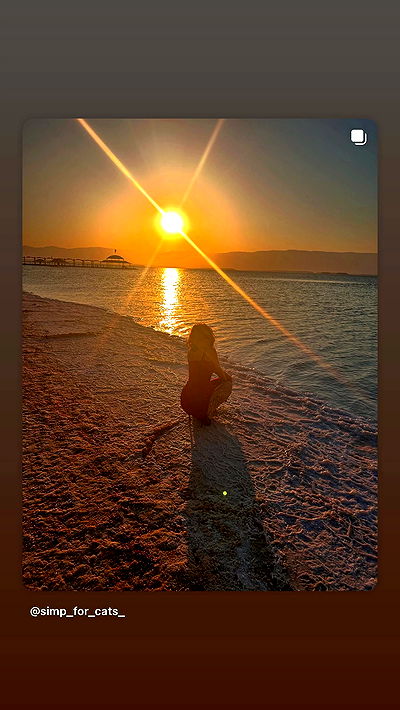 simp_for_cats_ simp_for_cats_ archive video