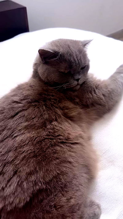 hellokittyangel666 hellokittyangel666 archive video