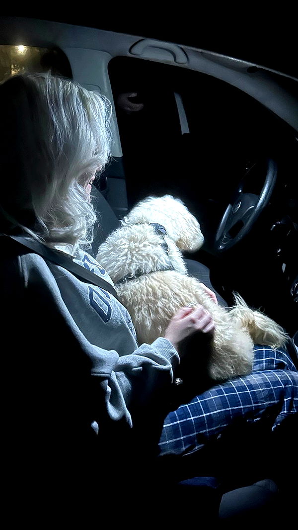 feelbetterinmysweater archive video preview