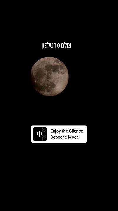 avital_1010.2003 avital_1010.2003 archive video