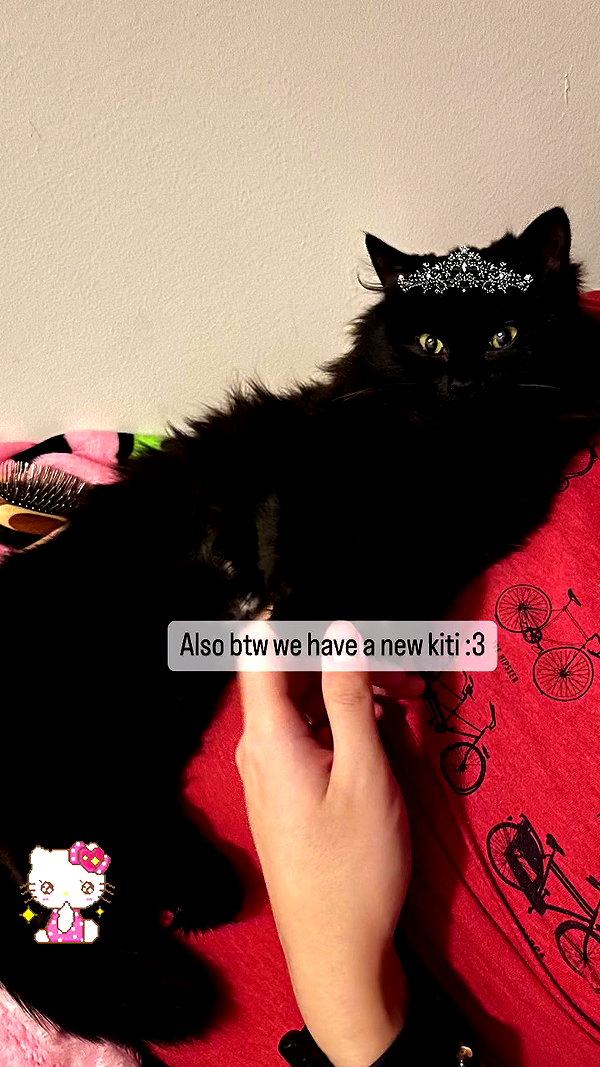 leenalleee archive video preview