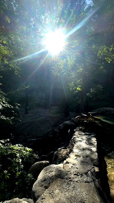 annfigma annfigma archive video