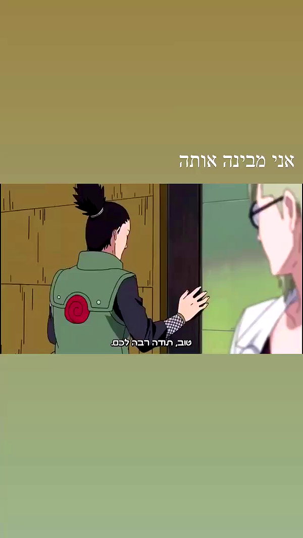 biton__adi archive video preview