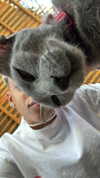 or_hasid Altpins Profile Picture