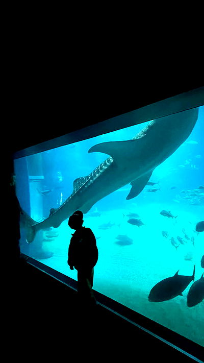 neomiconrad neomiconrad archive video