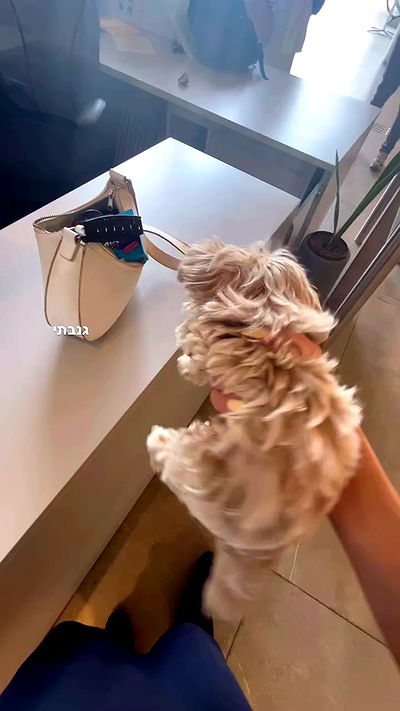 yaelxyazdi yaelxyazdi archive video