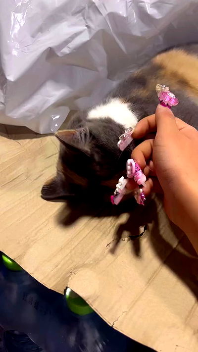 hellokittyangel666 hellokittyangel666 archive video