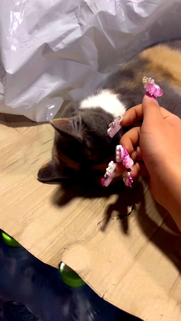 hellokittyangel666 archive video preview