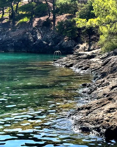 carolinezalog carolinezalog archive video