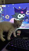 valeriecastellano Altpins Profile Picture
