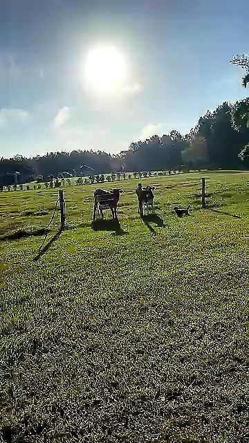 sophieraiin sophieraiin archive video