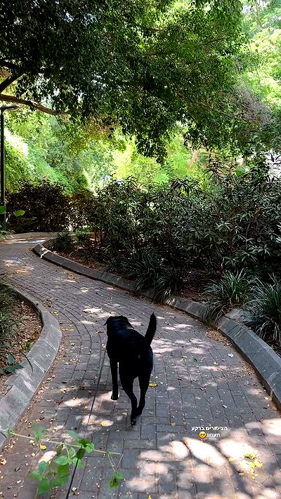 talweisswasser talweisswasser archive video