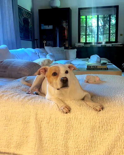 sydney_sweeney sydney_sweeney archive video