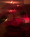 anaferflores Altpins Profile Picture