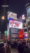 amit.yaron Altpins Profile Picture