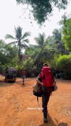 noa_mendel_ Altpins Profile Picture
