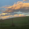dakotabell05 Altpins Profile Picture