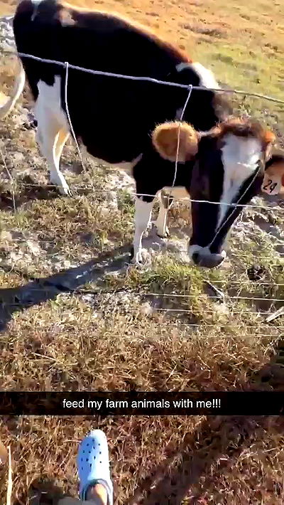 sophieraiin sophieraiin archive video