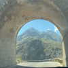 emelyeender Altpins Profile Picture