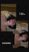 xkay.04x Altpins Profile Picture