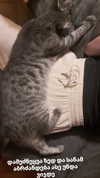 etuna_tuna Altpins Profile Picture