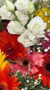 liah.t_ Altpins Profile Picture