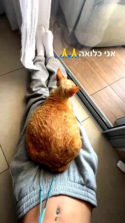 zlata_shipulin zlata_shipulin archive video