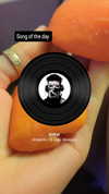 zz.eazoning Altpins Profile Picture