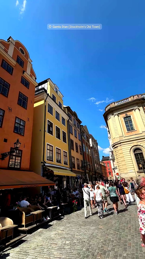elsgatti archive video preview