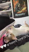 theonlygirlintheworld.xoxo Altpins Profile Picture