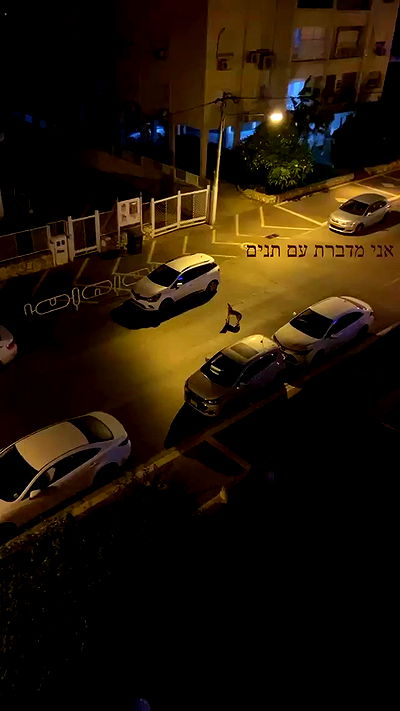 feelbetterinmysweater feelbetterinmysweater archive video