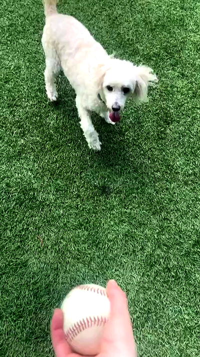 feelbetterinmysweater feelbetterinmysweater archive video