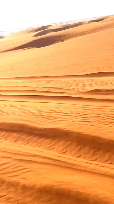 annfigma annfigma archive video