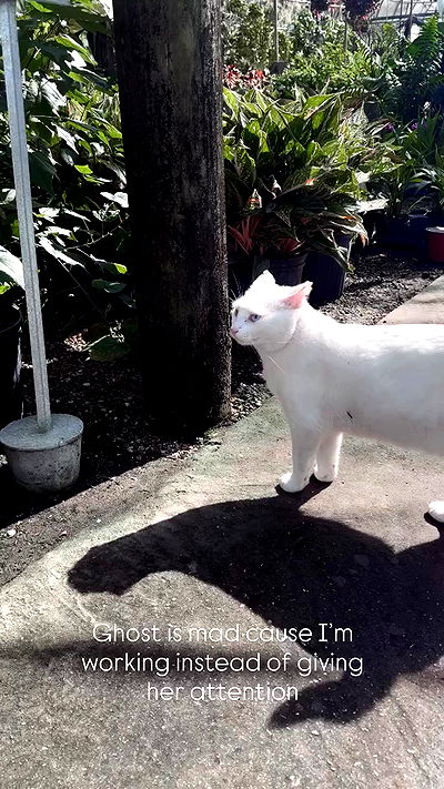 edin.karyn edin.karyn archive video