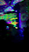 noa_mendel_ Altpins Profile Picture