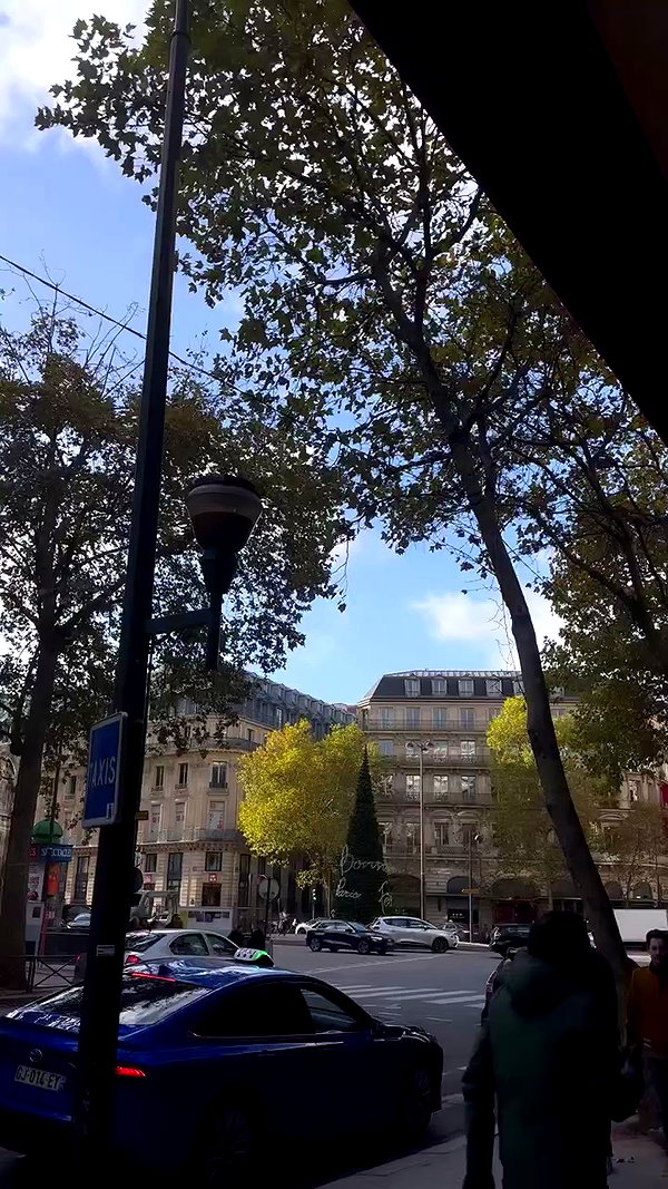 tair_alon archive video preview