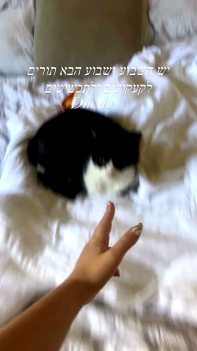 _wizardmidget_ _wizardmidget_ archive video