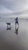 astarwbry_ Altpins Profile Picture