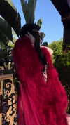blairvira Altpins Profile Picture