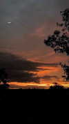 lea_61119 Altpins Profile Picture