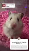 pockycatt Altpins Profile Picture