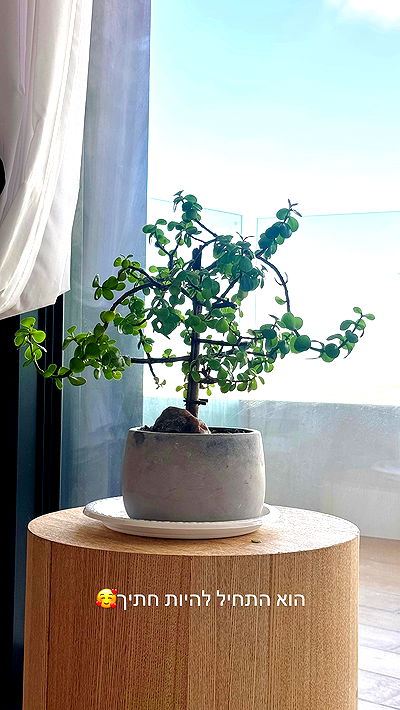 itsilanosh itsilanosh archive video