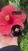 zz.eazoning Altpins Profile Picture