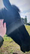daria.lesin Altpins Profile Picture