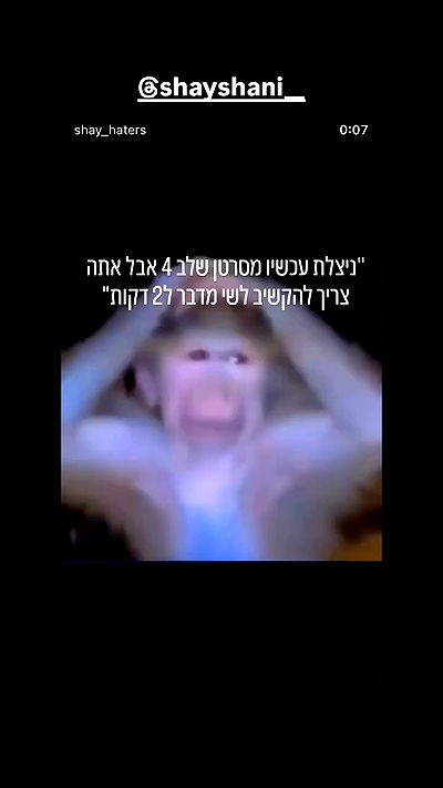 moonliliaght moonliliaght archive video