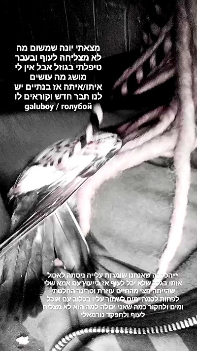 moonyyyya moonyyyya archive video