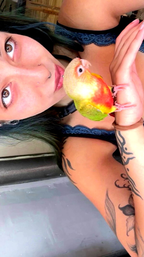 romy_ayalla_lavi archive video preview